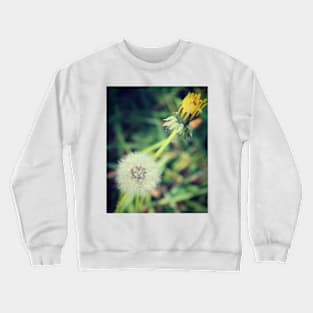 Dandelion Crewneck Sweatshirt